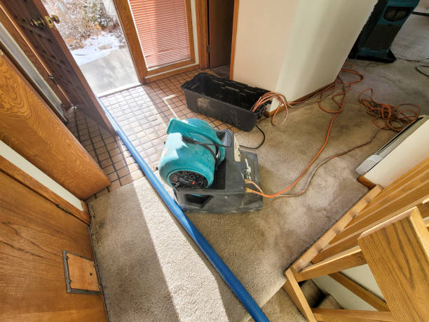 Best Mold removal after water damage  in Rancho Mirage, CA