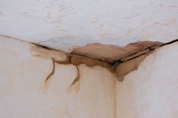  Rancho Mirage, CA Water damage restoration Pros