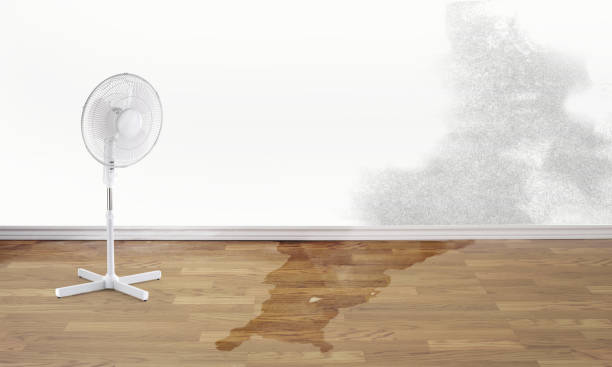 Best Carpet water damage restoration  in Rancho Mirage, CA