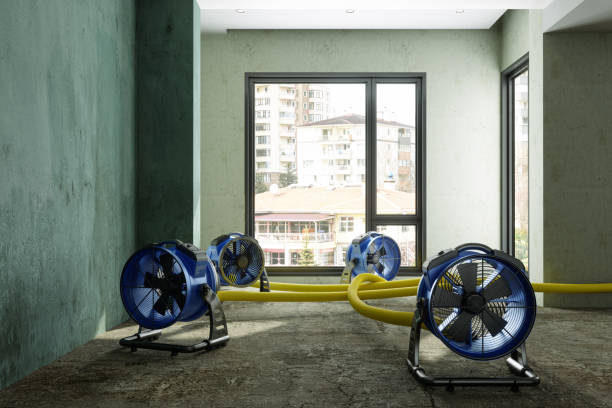 Best Ceiling water damage repair  in Rancho Mirage, CA